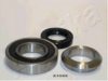 ASHIKA 44-21022 Wheel Bearing Kit